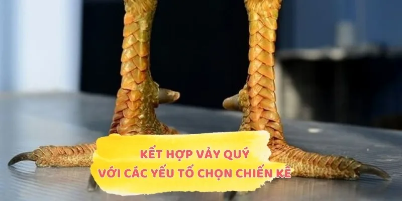 Kết hợp vảy quý với các yếu tố để chọn chiến kê